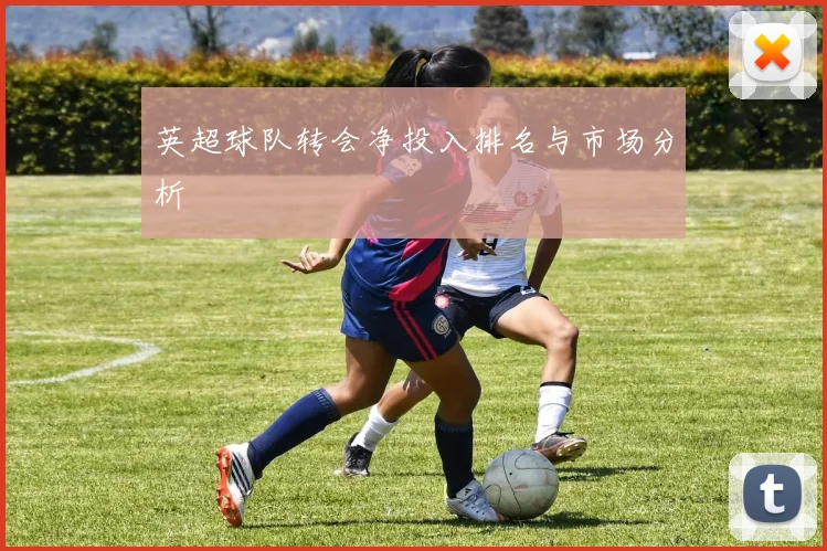 英超球队转会净投入排名与市场分析